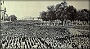 Prato della Valle 24 settembre 1938 (Daniele Zorzi)